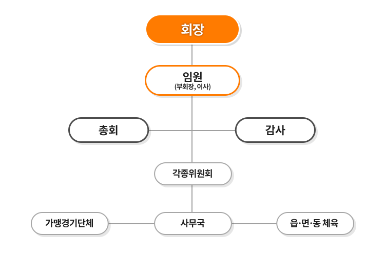 조직도
